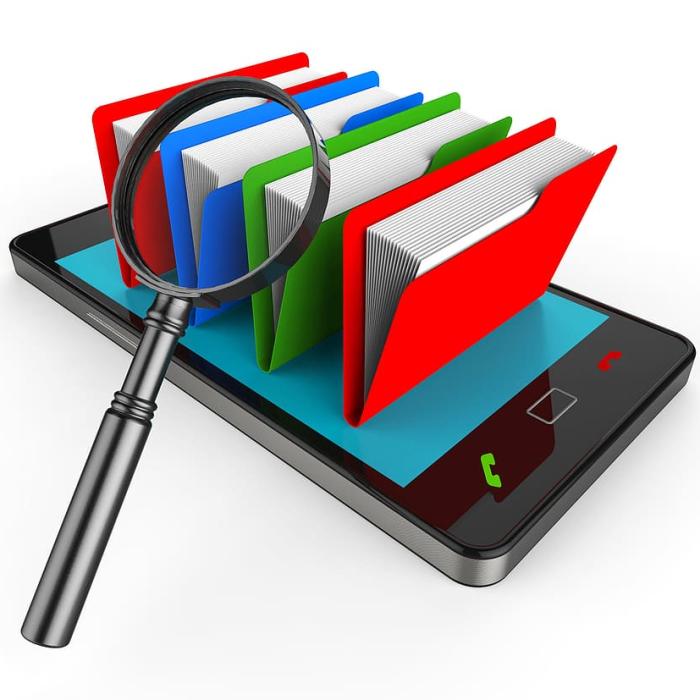 Chirițoiu: ”Noi suntem similari cu procuratura”