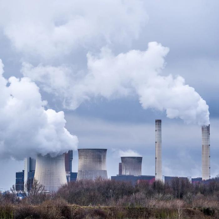 Lucian Georgescu: Folosim deșeuri pentru captarea bioxidului de carbon