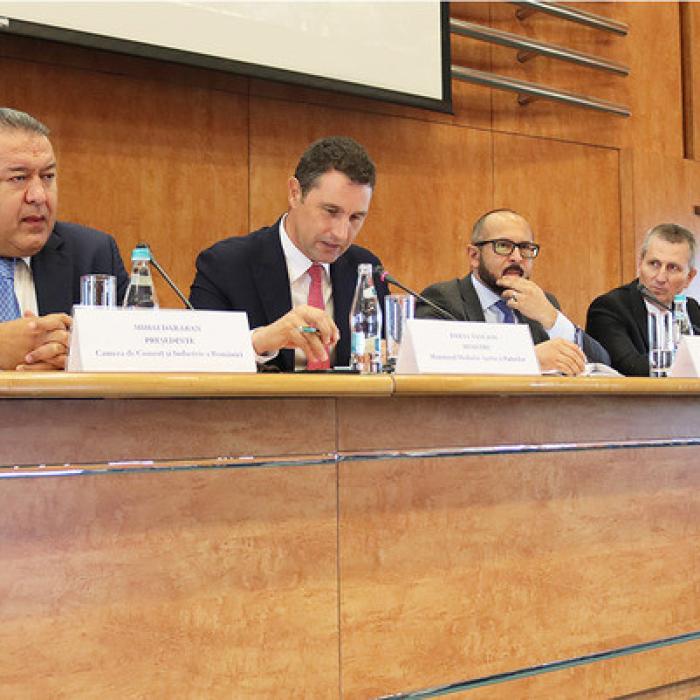 Mihai Daraban (CCIR): Nu aş scoate lemnul din ţară decât sub formă de masă, scaun, pat sau dulap