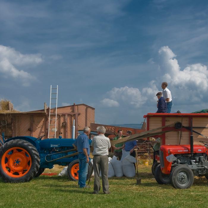 Fermierii vor primi 1.500 de lei pe hectar pentru culturile afectate de secetă – proiect  