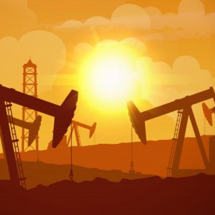 Scăderea livrărilor de petrol ale grupului OPEC+ ar putea împinge în recesiune economia mondială
