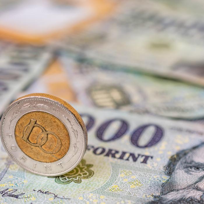 Cehii, slovacii şi austriecii îşi fac cumpărăturile în Ungaria, după ce forintul s-a prăbuşit pe cursul valutar