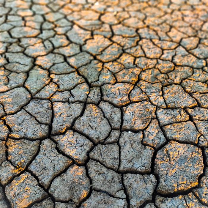 Situaţia este critică. Peste 1,1 milioane hectare de teren, afectate de secetă