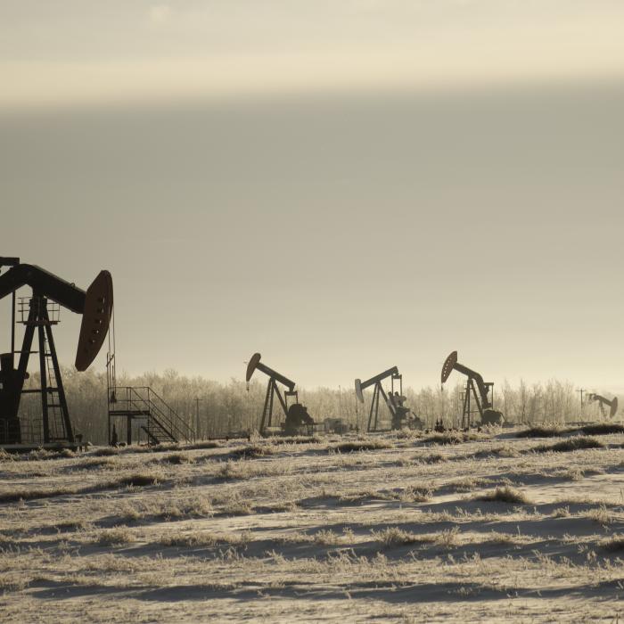 China și India stabilesc prețul petrolului rusesc