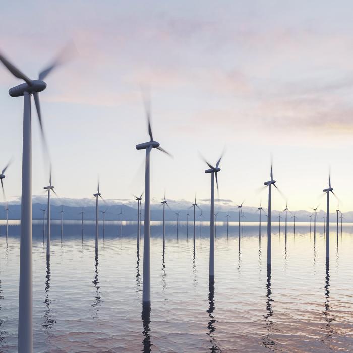 Zoltan Nagy-Bege (ANRE) nu crede că România va produce prea curând energie eoliană în Marea Neagră