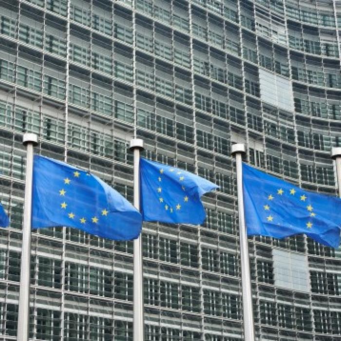 UE vrea să ştie care sunt planurile de investiţii ale giganţilor din tehnologie şi operatorilor de telecomunicaţii 