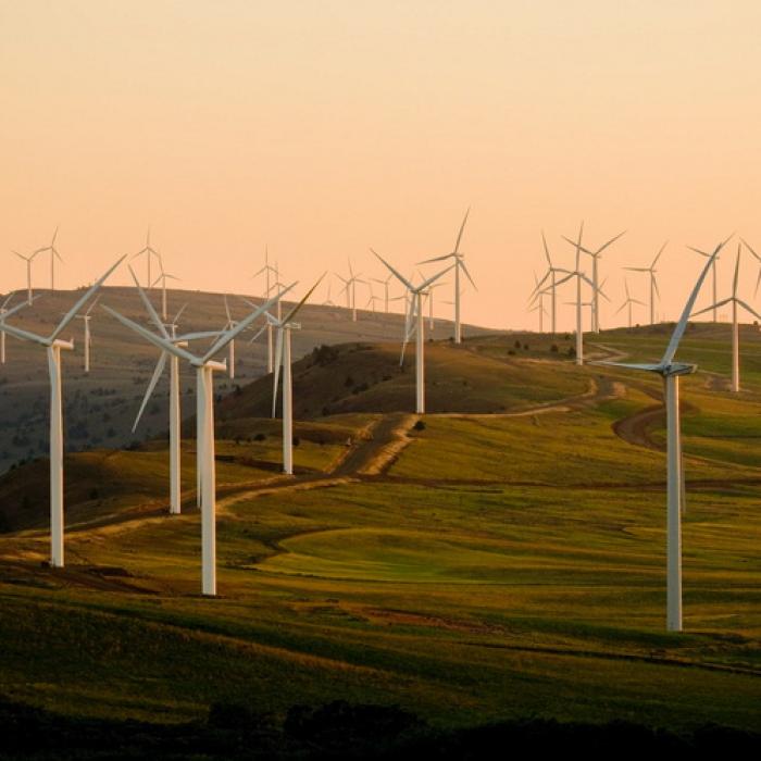 Materiile prime necesare energiei verzi necesită investiţii masive Analiză