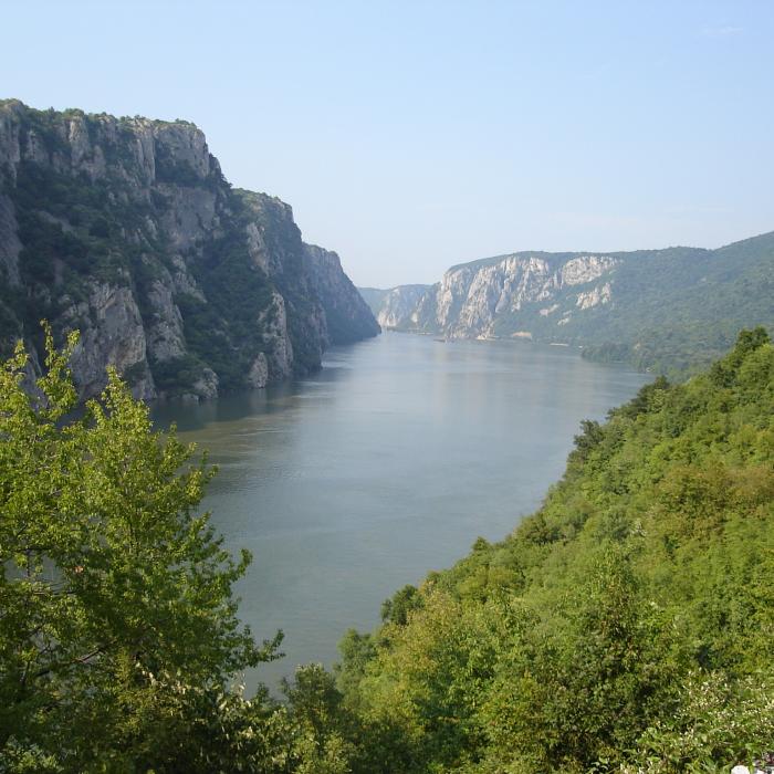 Povestea unei licitații pierdute. Rectorul Georgescu: ”Ne lipseau niște ștampile pe niște hârtii vechi”
