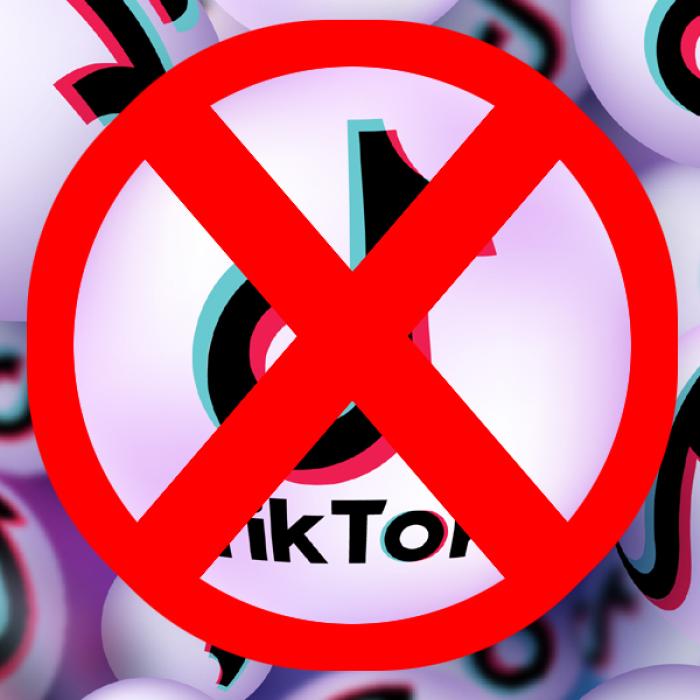 Guvernul canadian interzice aplicația TikTok pe dispozitivele angajaților