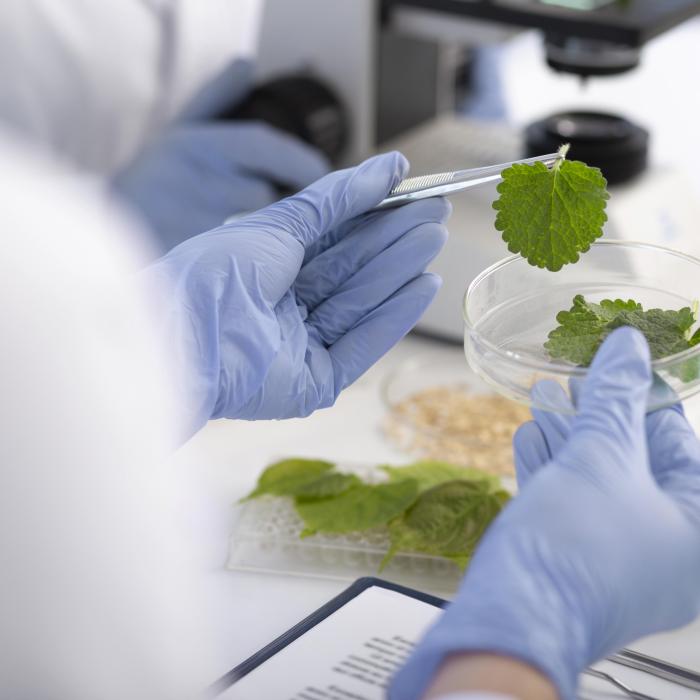 L'Oréal investește într-o companie de biotehnologie