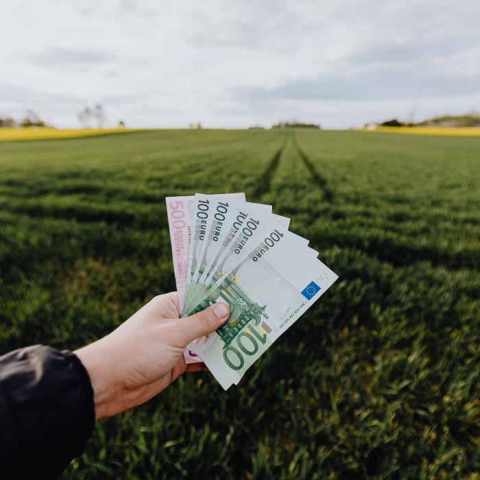 APIA, anunţ pentru crescătorii de animale care vor să acceseze credite pentru finanţarea activităţii