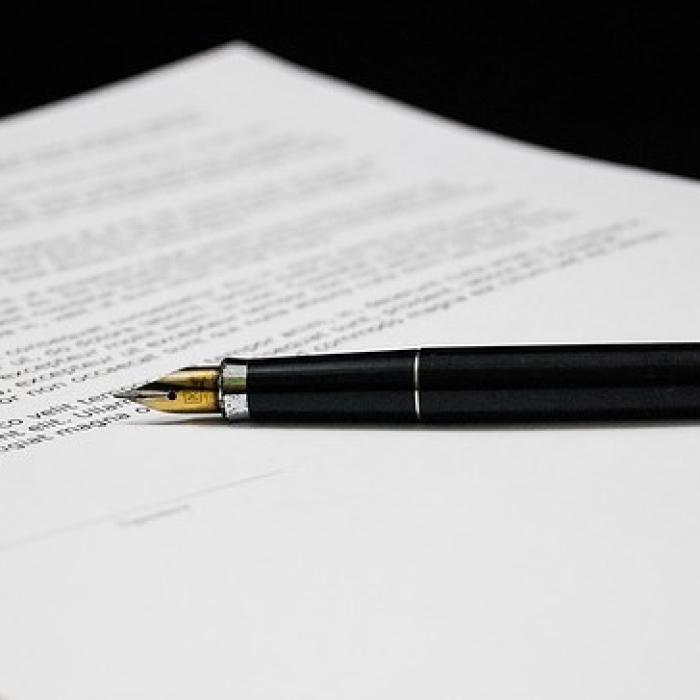 IMM INVEST PLUS. Model de completare a declarației pe propria raspundere privind îndeplinirea condițiilor de acordare a ajutorului de stat sub formă de grant