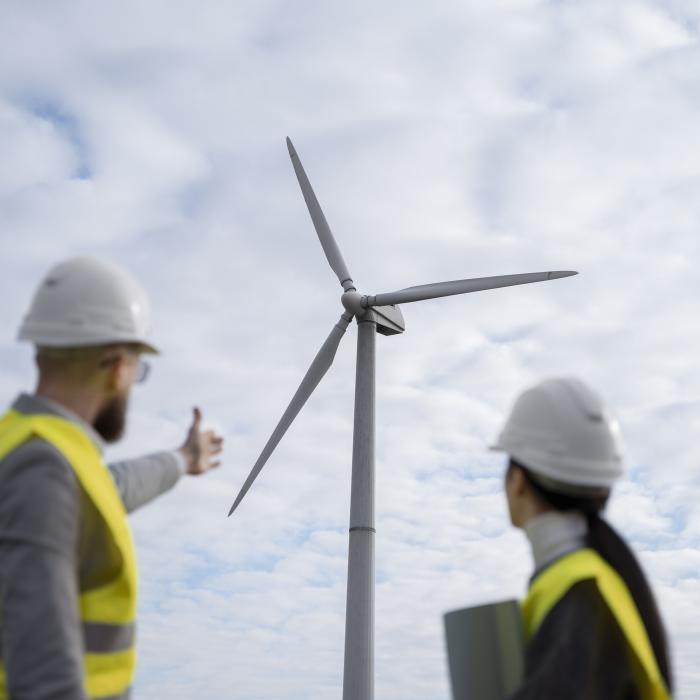 Industria eoliană are nevoie de zeci de mii de noi angajați