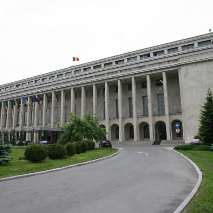 Guvernul scoate la bătaie 150 de locuri pentru internship