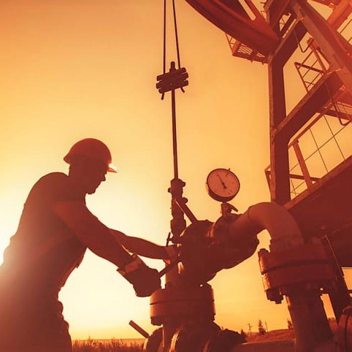 Rolul OPEC pe piața petrolului va scădea, anunță EIA