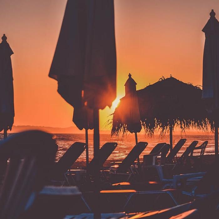 Constantinescu (ANPC): Putem număra câteva sute de caşcarabete în zone cu impact turistic major