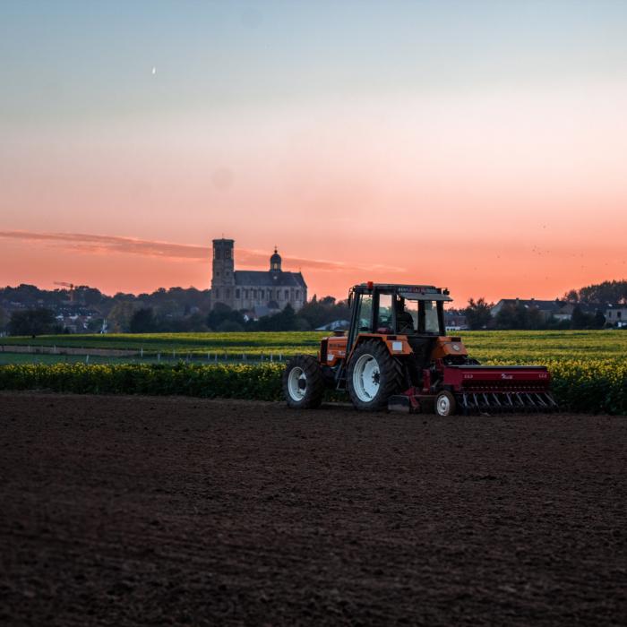 Marea Britanie anunţă că va acorda 45.000 de vize sezoniere în agricultură