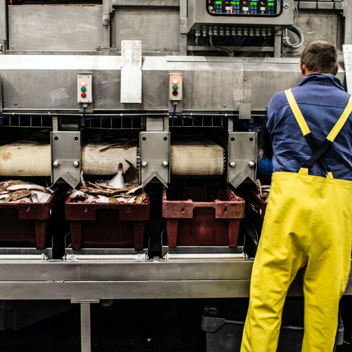 INS. Cifra de afaceri din industrie, creștere modestă. Industria extractivă, scădere de peste 10%