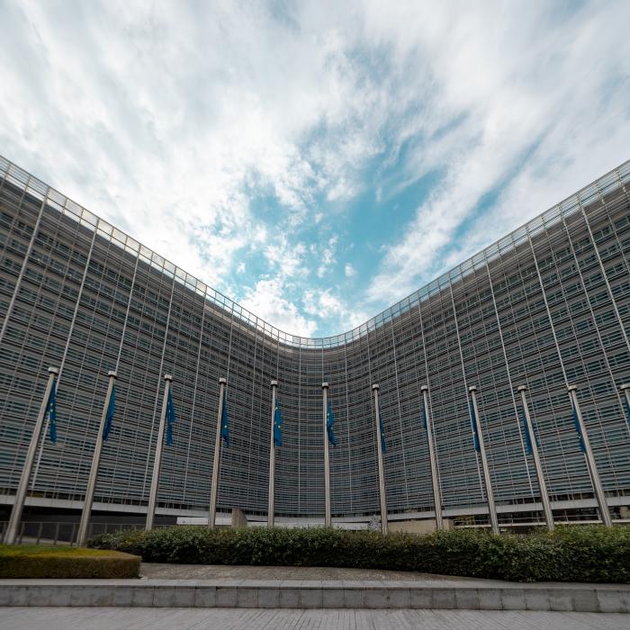 Agricultorii români protestează la Bruxelles, la manifestul organizat de fermieri şi cooperative din şase ţări