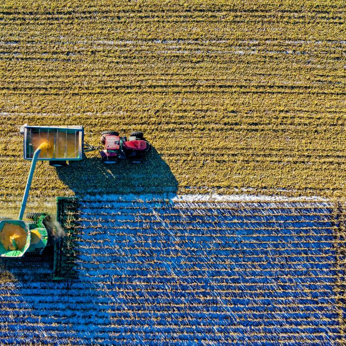 Agricultorii protestează, marţi, la Bruxelles, alături de fermeri din alte ţări UE. Se cer soluţii la problemele cu care se confruntă sectorul agroalimentar