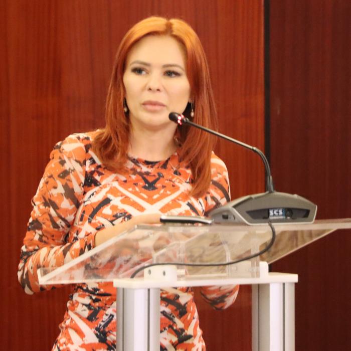 ARIR are un nou Consiliu Director. Daniela Şerban, preşedinte ARIR, MD Vertik Group, a fost reconfirmată de Adunarea Generală