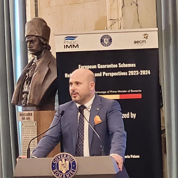 FNGCIMM și AECM - Soluții de garantare financiară - Retrospectivă și perspectivă 2023-2024