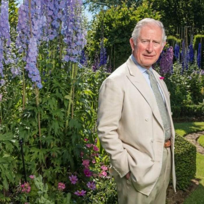 Regele Charles, vizită în România. Ce proprietăți are în țara noastră Suveranul britanic VIDEO