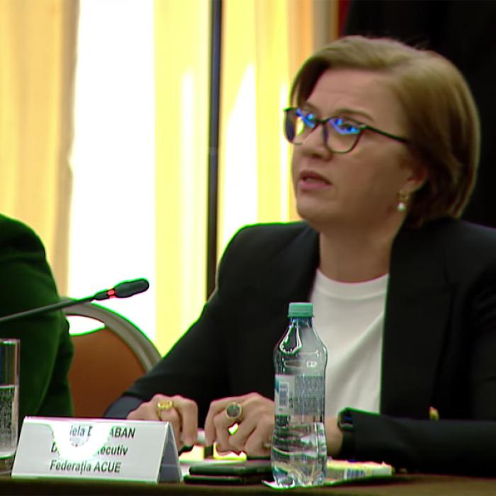 Dărăban (ACUE): Tranziția de la prețurile plafonate la cele de piață nu se face peste noapte