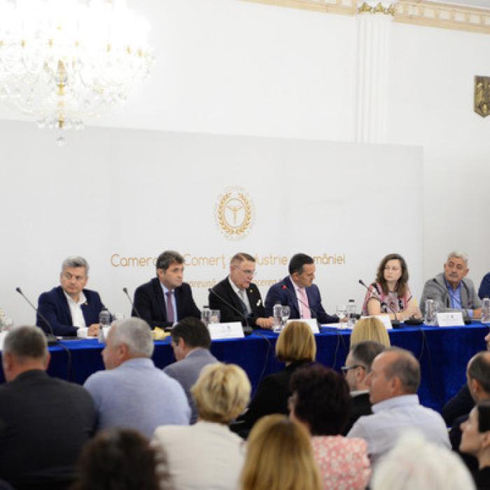 Ovidiu Silaghi, CCIR: România are o slabă reprezentare a diplomației  comerciale în America de Sud, Africa și Asia