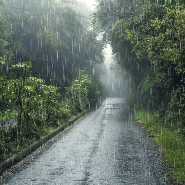 Vremea își face de cap în România: Coduri, vijelii, ploi abundente și caniculă