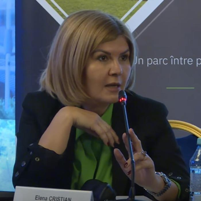 Bugetul României a făcut implozie. Elena Cristian, despre eliminarea facilităților: ”Să iei decizii de pe o zi pe alta este greșit. Ordonanța este deja scrisă”
