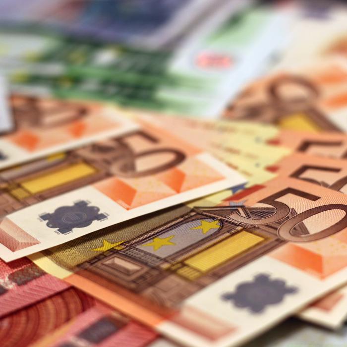 Cancelarul austriac vrea să includă în constituţie dreptul de a plăti cu bani gheaţă