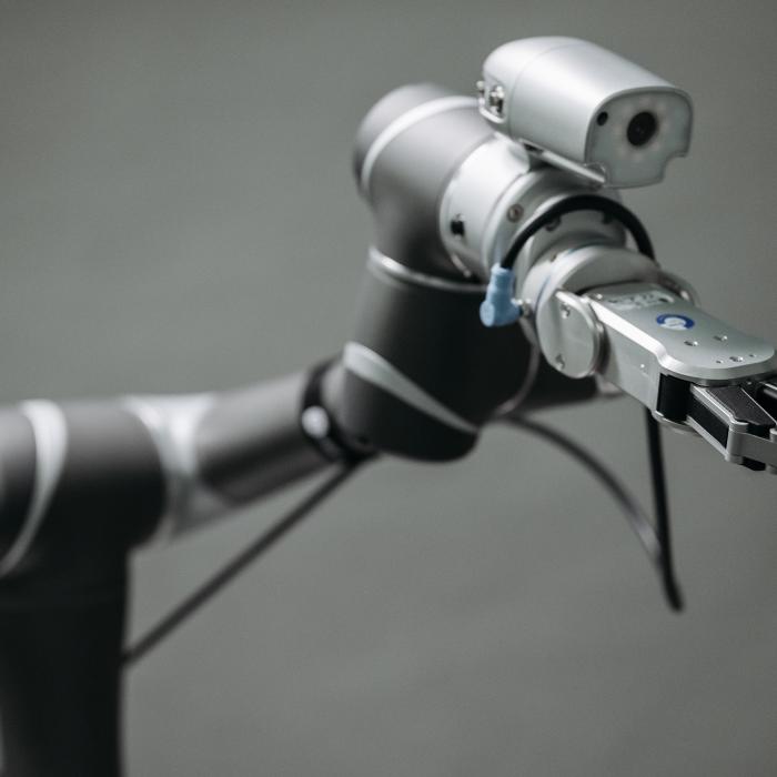 Inteligenţa Artificială (IA) a intrat in topul celor mai mari riscuri pentru organizaţii (Sondaj)