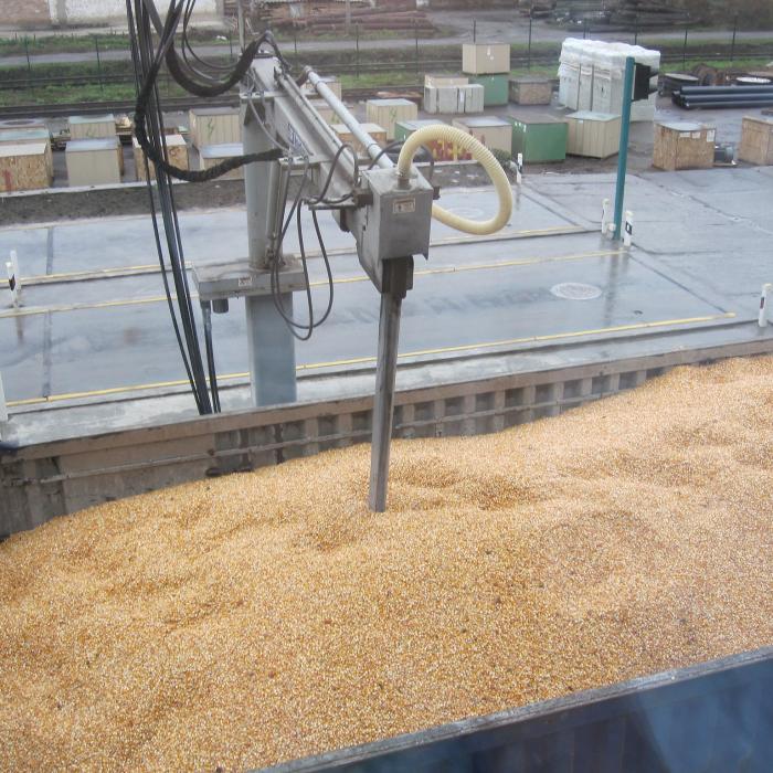 România dublează capacitatea de tranzit a cerealelor din Ucraina