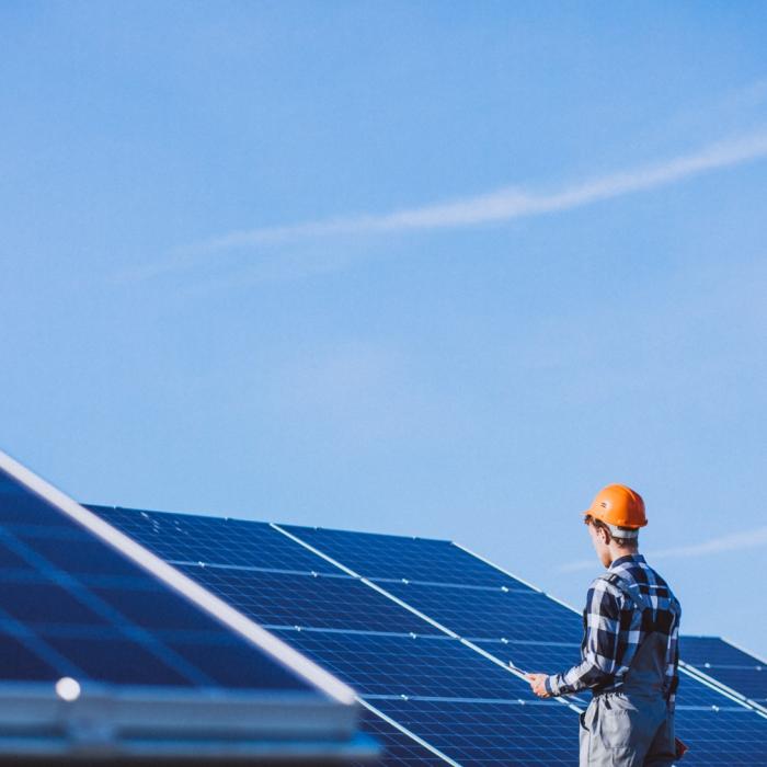 Banca Transilvania investește milioane de euro în dezvoltarea unui parc fotovoltaic 