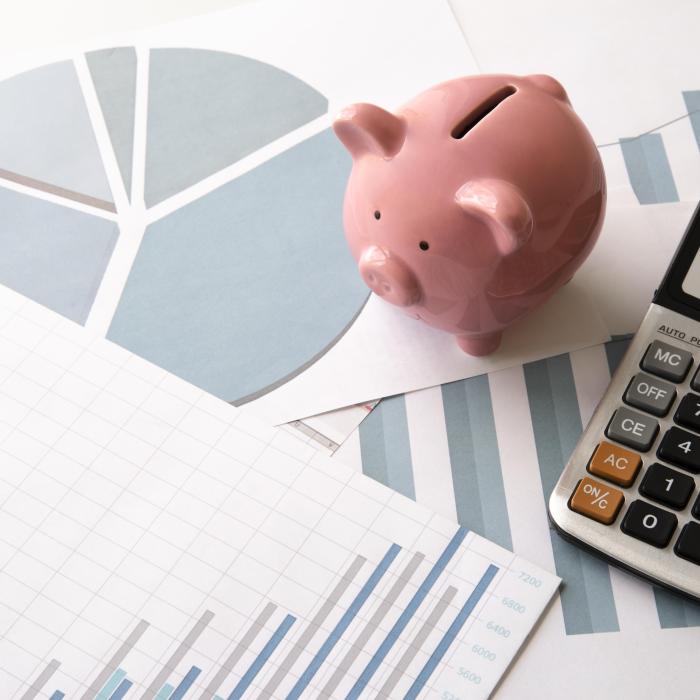 România, încotro? Adrian Negrescu: ”Nu poți vorbi de funie în casa spânzuratului”