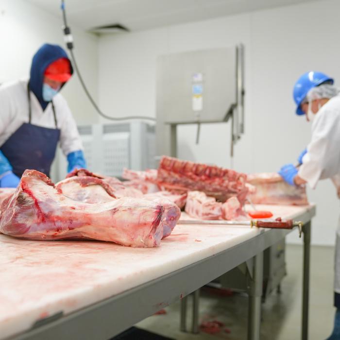 Investiţii în fermele de reproducție, pentru stimularea producţiei interne de carne de porc şi pasăre
