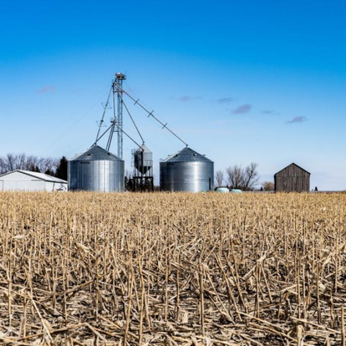 Bulgaria a ridicat interdicția la importul cerealelor ucrainene. România așteaptă