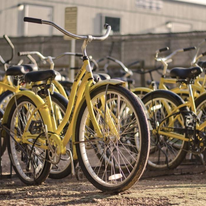 Portugalia și România, cei mai mari producători de biciclete din UE