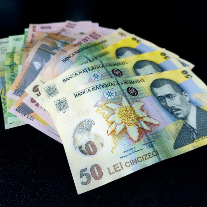 ANPIS, informaţii despre alocaţiile pentru susţinerea familiei