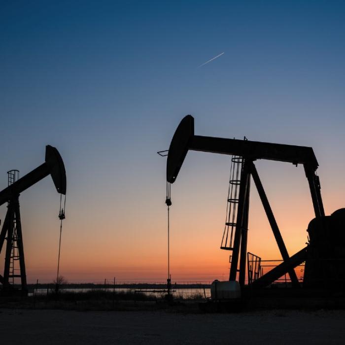 Reuters: Agenția Internațională pentru Energie a revizuit prognoza privind cererea de petrol în 2024