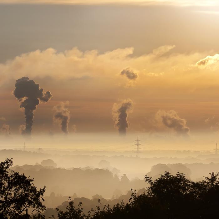 Cum vrea India să fenteze taxele UE pentru produsele cu amprentă de carbon