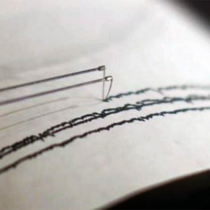 Un nou cutremur în România, în zona seismică Vrancea