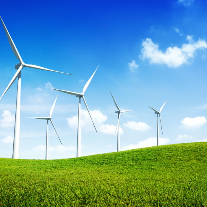 Lucian Georgescu: Dobrogea are cel mai mare potențial eolian din toată Europa