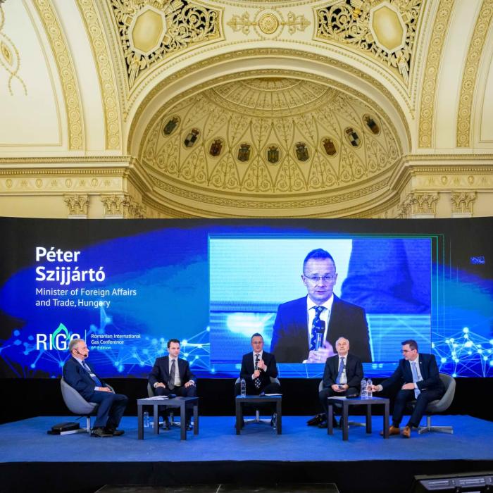 România și Ungaria vor avea o nouă conexiune de energie electrică