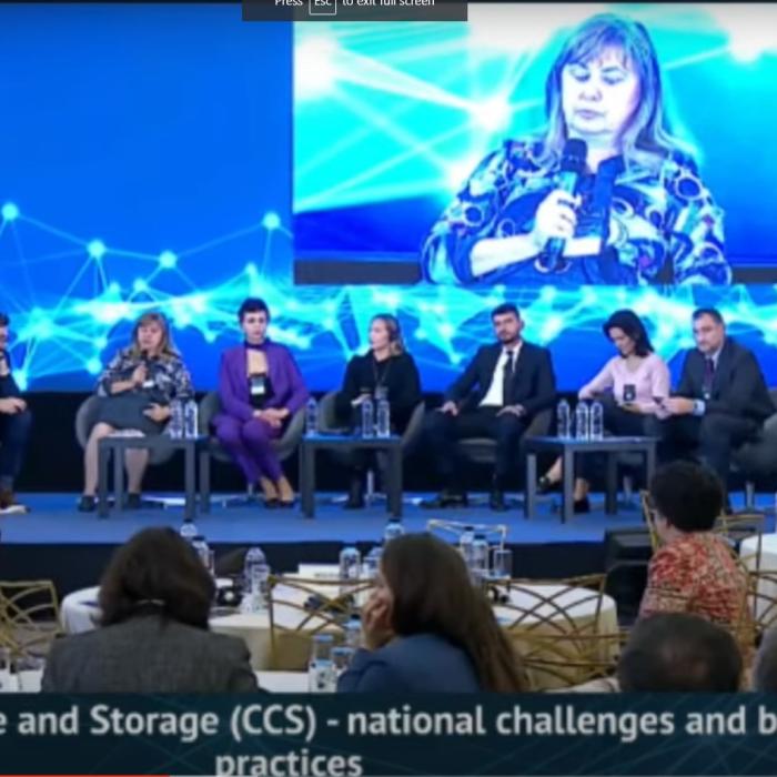 Stocarea dioxidului de carbon în România. Florina Sora (ANRM): Sunt industrii care fără CSS nu vor mai putea funcționa