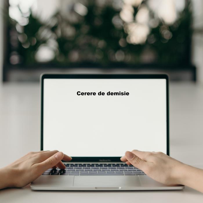 Mai mult de jumătate dintre salariaţi plănuiesc să-şi schimbe locul de muncă anul viitor (Sondaj)