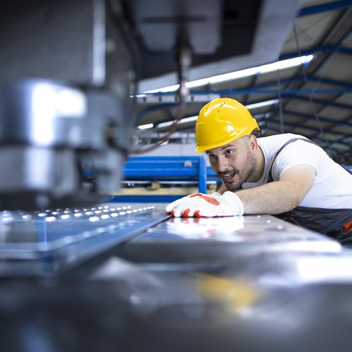 Mircea Coşea: Carențe calitative ale pieței forței de muncă