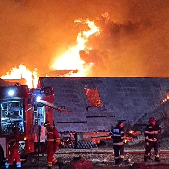 Incendiu la Ferma Dacilor din satul prahovean Tohani. Mai multe trupuri au fost găsite carbonizate