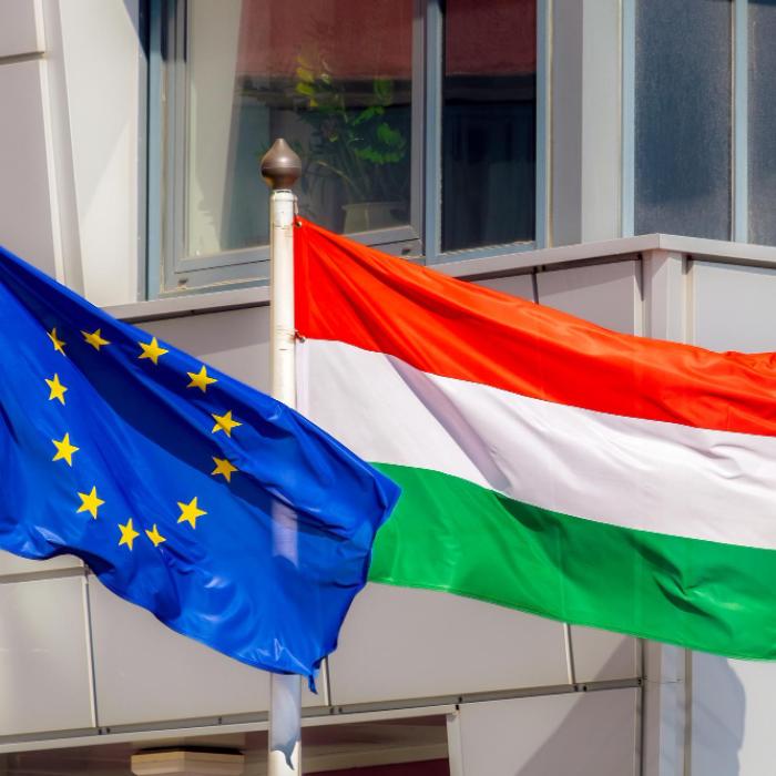 Ungaria se laudă cu investiţii străine record în 2023, de peste 13 miliarde de euro